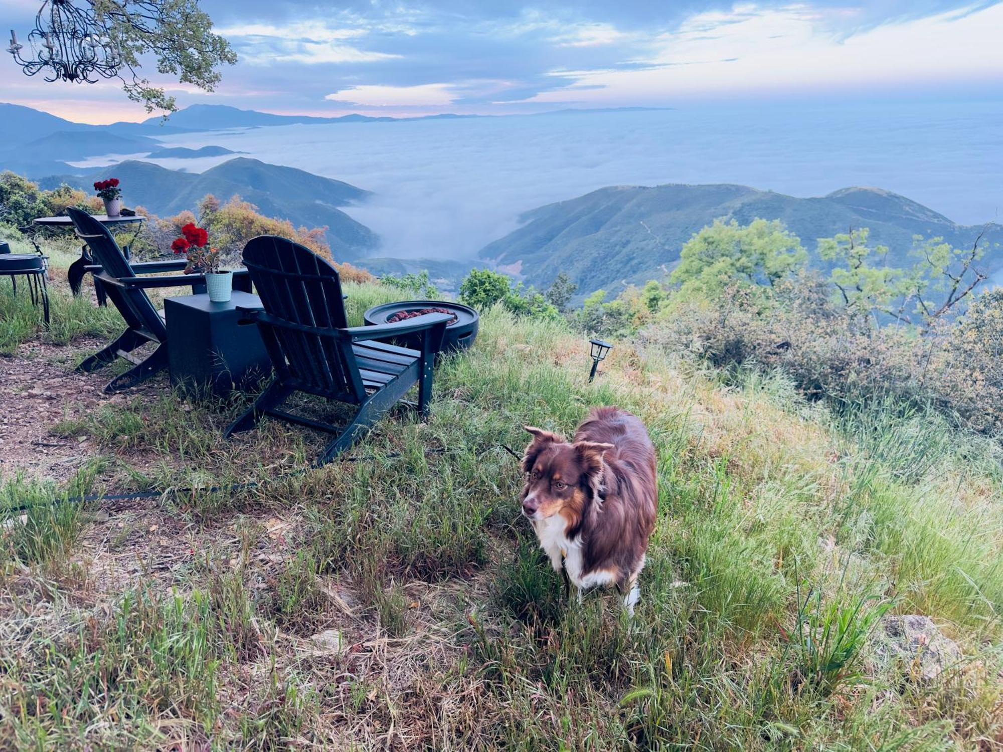 100 Mile View-Fire Pit, Romantic, Peaceful, Private Crestline Экстерьер фото